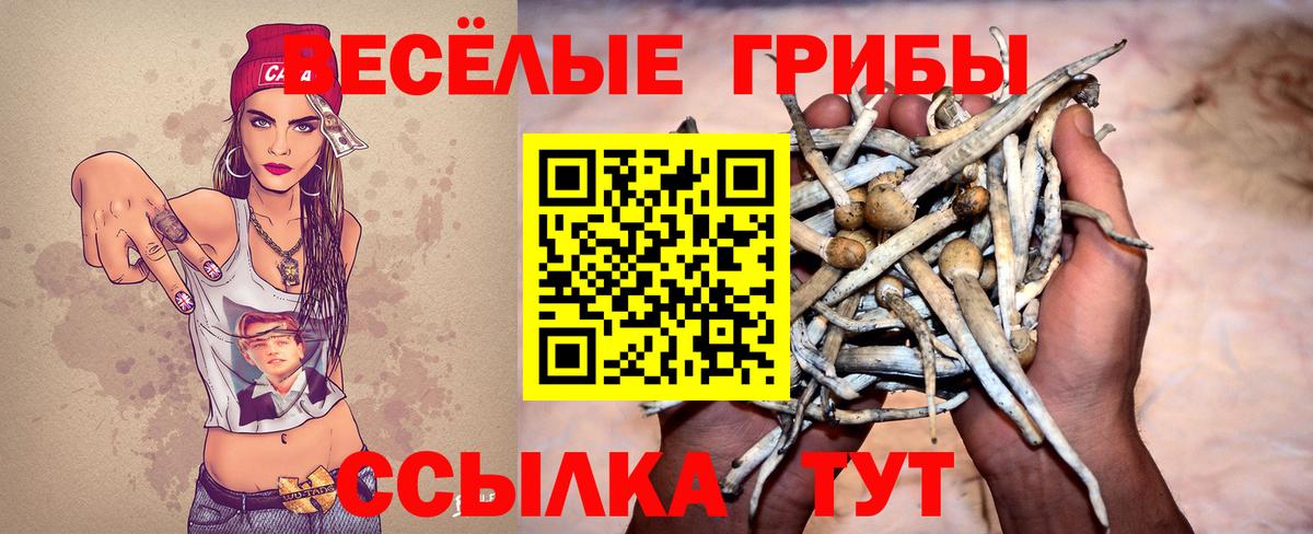 Псилоцибиновые грибы прущие грибы  Галлюциногенные грибы Psilocybe  Комсомольск-на-Амуре  Вход с VPN 