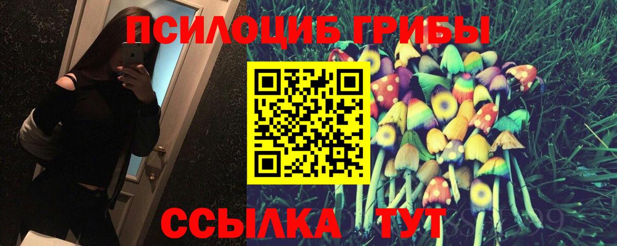 Псилоцибиновые грибы мицелий Комсомольск-на-Амуре